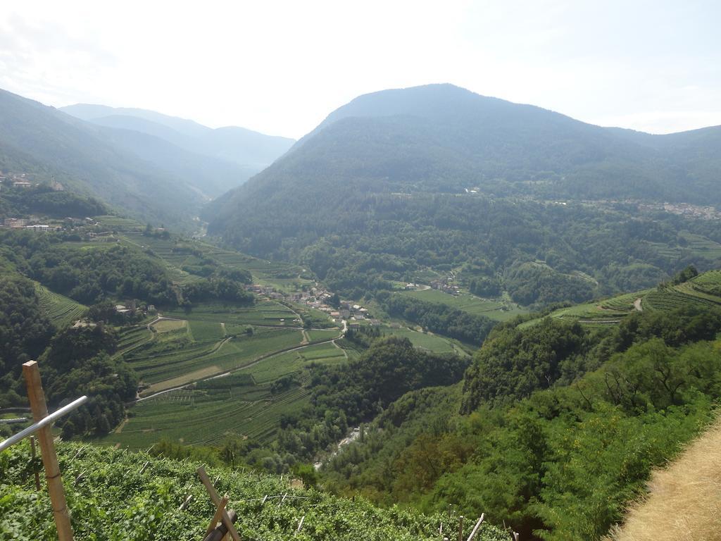 Hotel Al Caminetto Cembra Lisignago Esterno foto